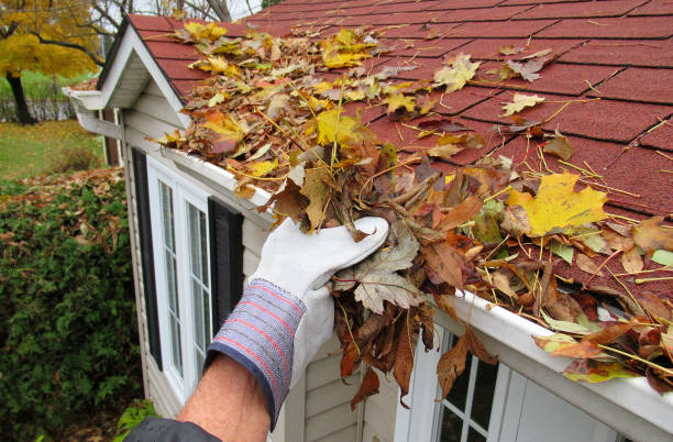 Prevent Water Damage with Our Gutter Cleaning Services